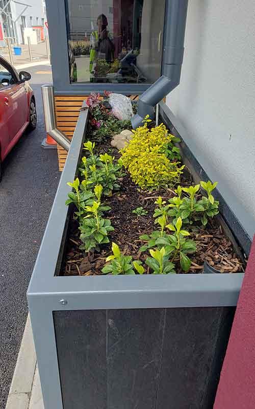 SuDS Planter Commercial Costa Coffee Case Study