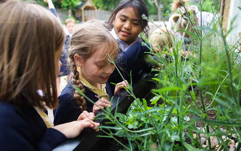 SuDS Planter Education Merstham