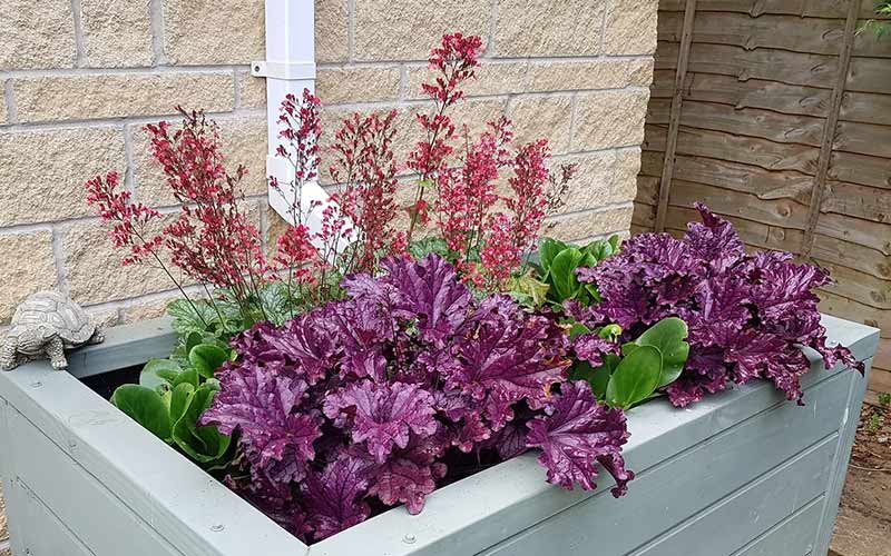 SuDS Planter Community Planter Tongwynlais Housing Development